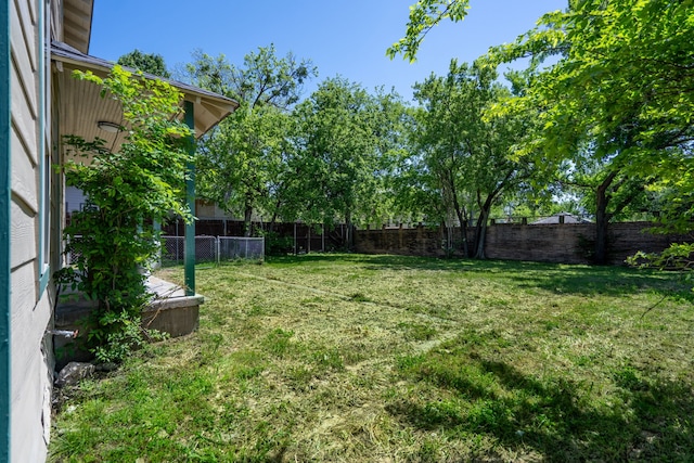 view of yard featuring a fenced backyard