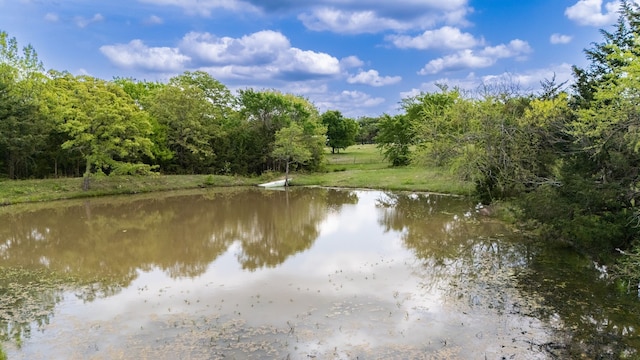 water view with a view of trees