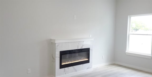 details featuring baseboards, wood finished floors, and a high end fireplace