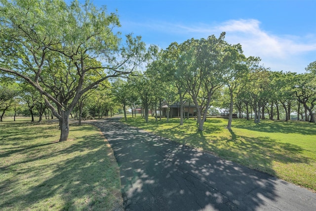200 Leea Ln, Weatherford, TX 76087 - view of street