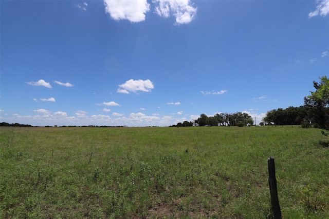 view of local wilderness with a rural view