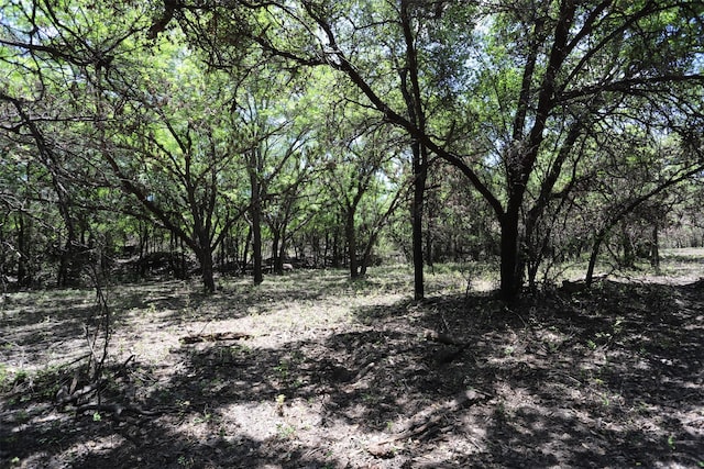 view of local wilderness with a view of trees