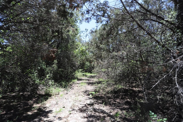 view of local wilderness with a wooded view