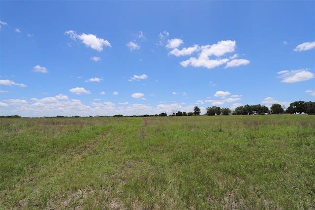 view of local wilderness with a rural view