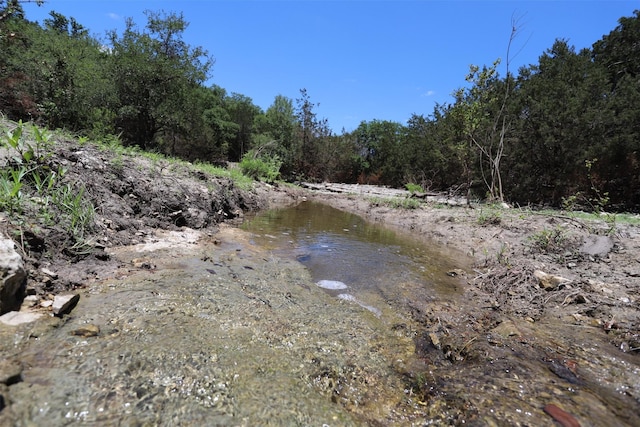 property view of water with a forest view