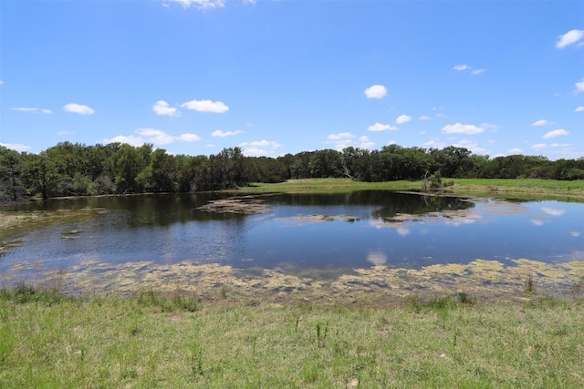 property view of water featuring a view of trees