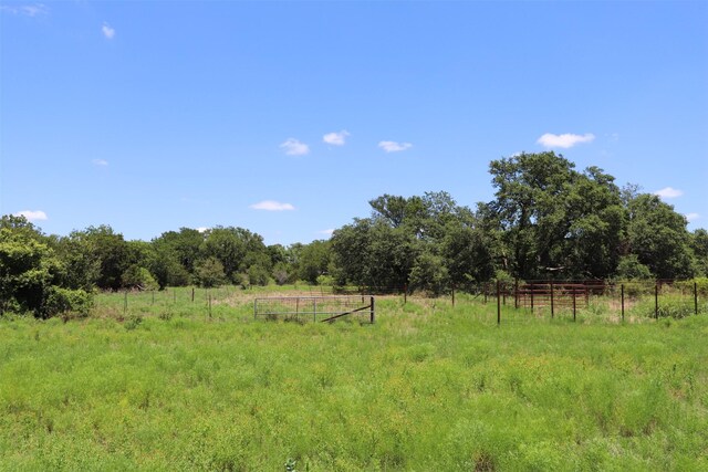 view of nature with a rural view