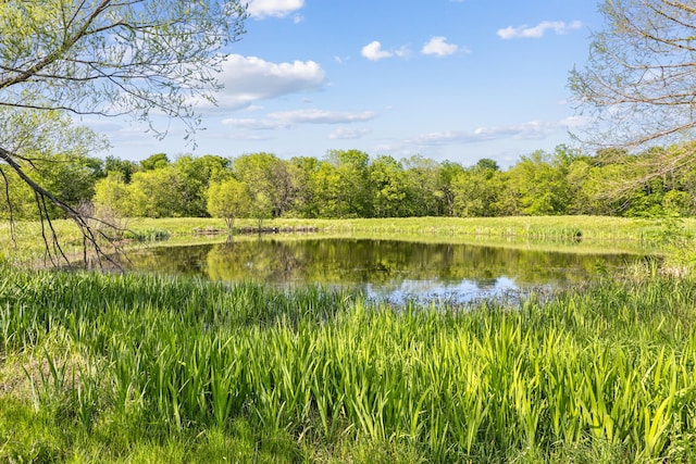 property view of water featuring a view of trees