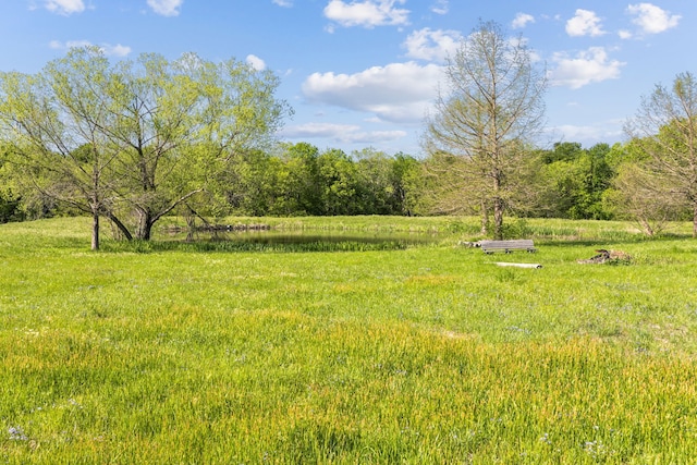 view of yard featuring a water view and a view of trees
