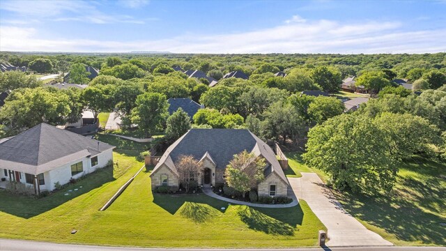 drone / aerial view