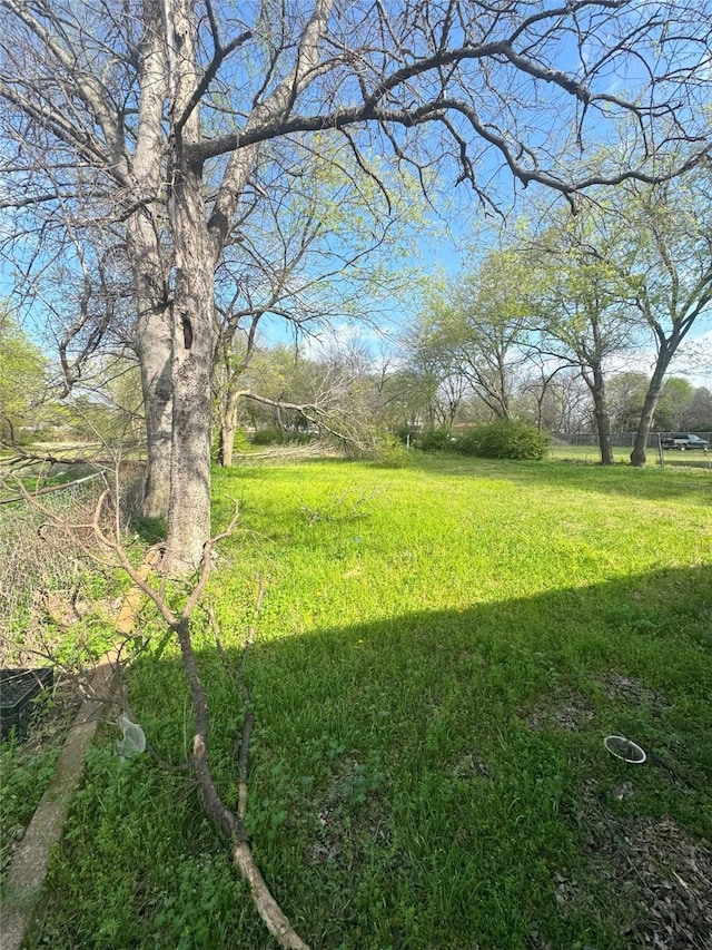 view of yard