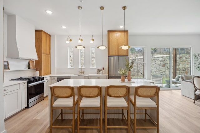 2016 Portofino Dr, Rockwall, TX 75032 - kitchen featuring light wood finished floors, light countertops, a sink, appliances with stainless steel finishes, and custom exhaust hood