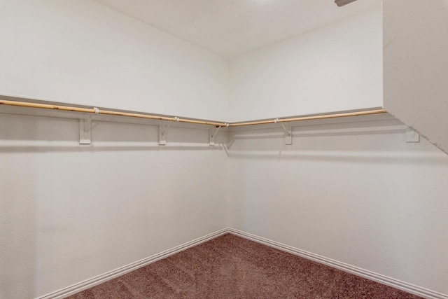 walk in closet with carpet