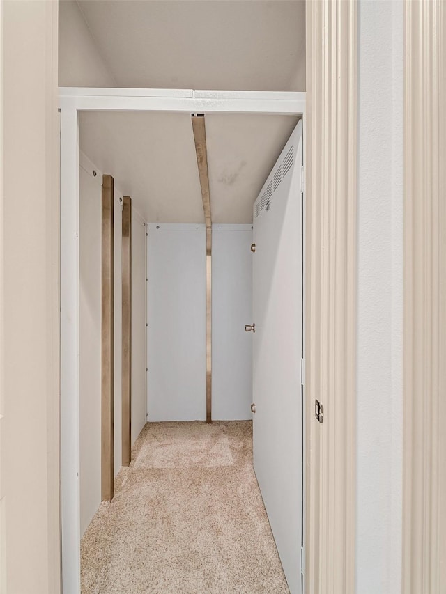 hallway featuring carpet flooring