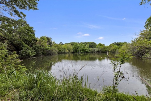 1125 Rodeo Center Blvd, Mesquite, TX 75149 - water view featuring a heavily wooded area