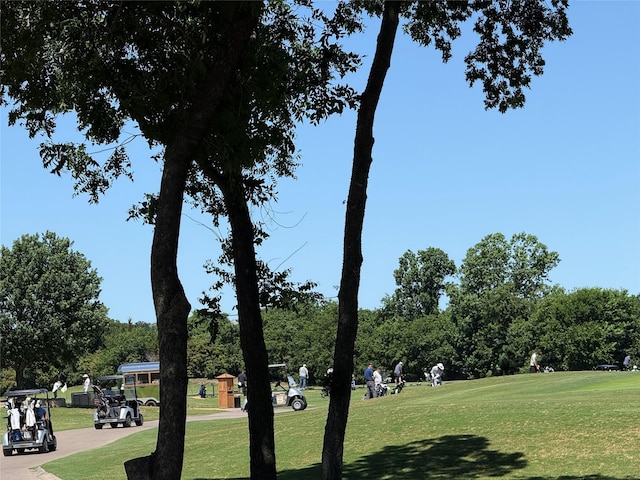 611 Twin Creek Dr, Allen, TX 75013 - surrounding community with a yard