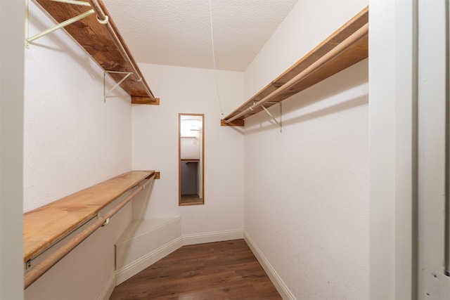 walk in closet featuring dark wood-style floors