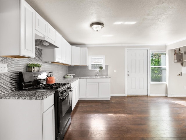 kitchen featuring decorative backsplash, a wealth of natural light, gas stove, and under cabinet range hood