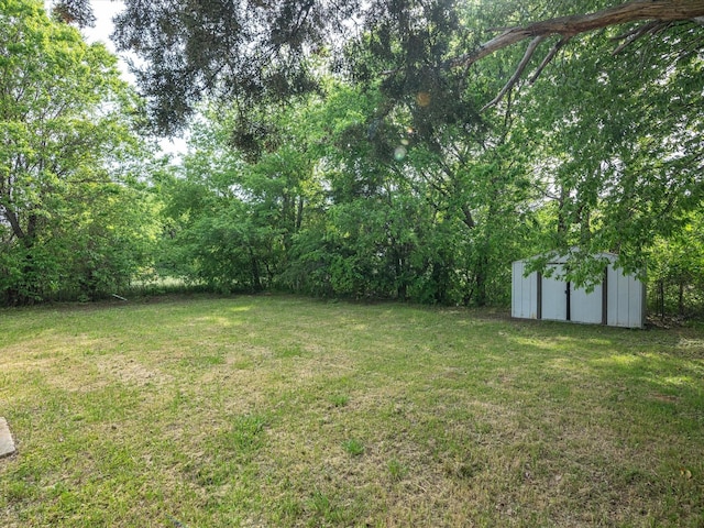 view of yard with an outdoor structure and a shed