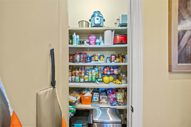 view of pantry