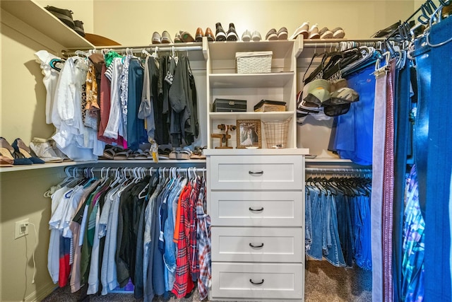 view of spacious closet