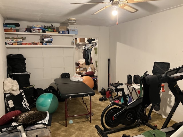 workout room with a ceiling fan and carpet flooring