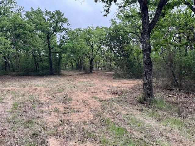 35ac Two Bush, Perrin, TX 76486