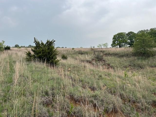 35ac Two Bush, Perrin, TX 76486