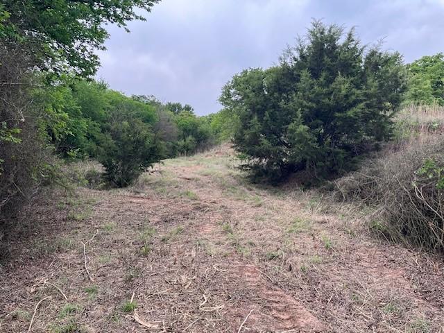 35ac Two Bush, Perrin, TX 76486