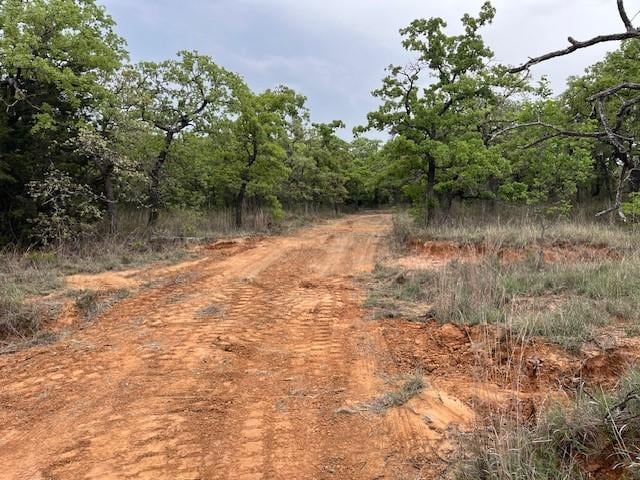 35ac Two Bush, Perrin, TX 76486