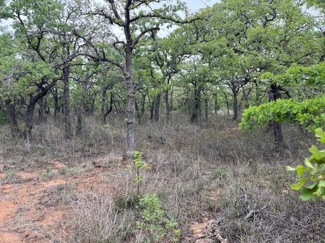35ac Two Bush, Perrin, TX 76486