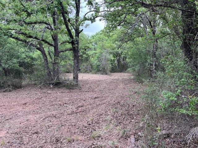 35ac Two Bush, Perrin, TX 76486