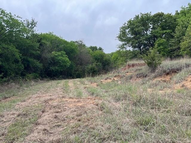 35ac Two Bush, Perrin, TX 76486