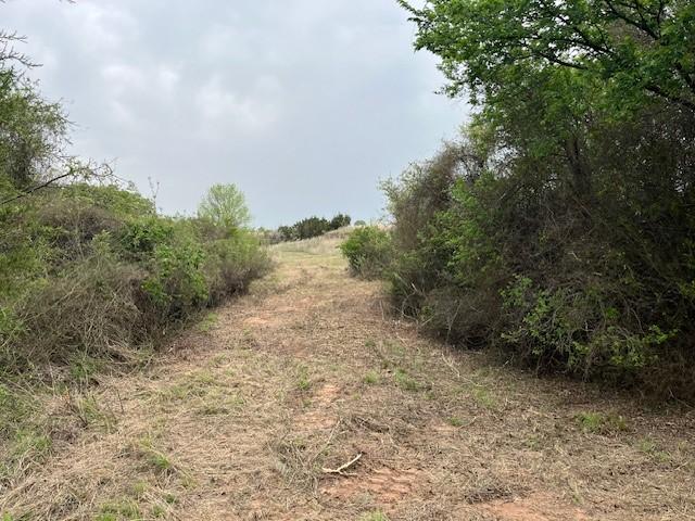 35ac Two Bush, Perrin, TX 76486