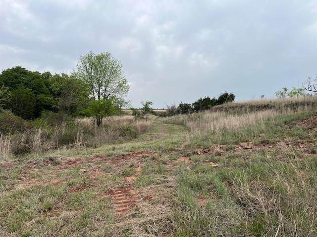35ac Two Bush, Perrin, TX 76486