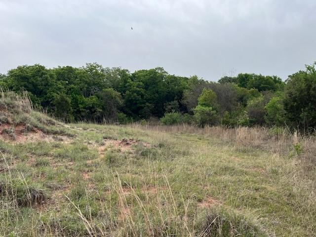 35ac Two Bush, Perrin, TX 76486