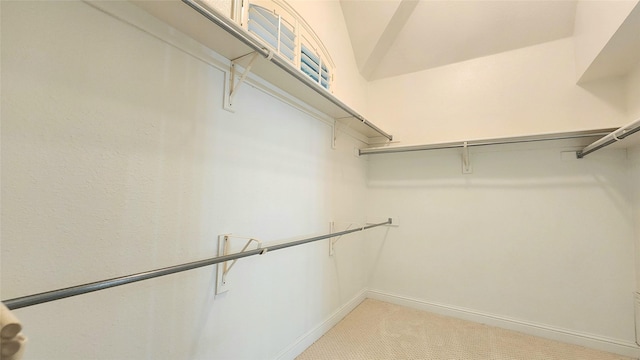 4406 Bay Valley Dr, Garland, TX 75043 - walk in closet with light carpet