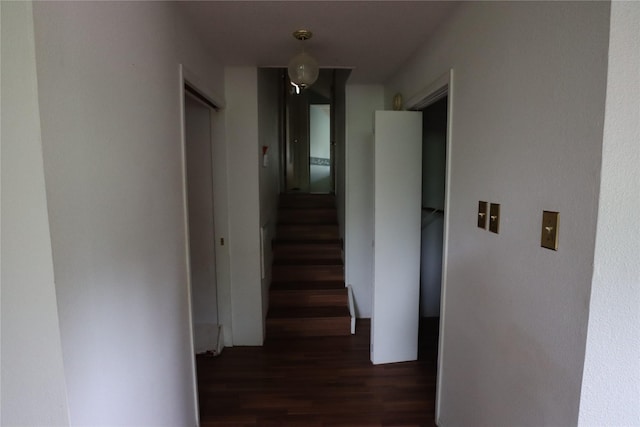 hallway with dark wood finished floors and stairway