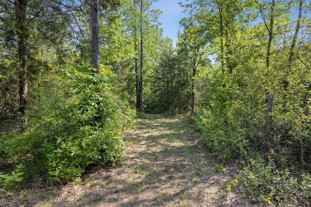 view of landscape with a forest view