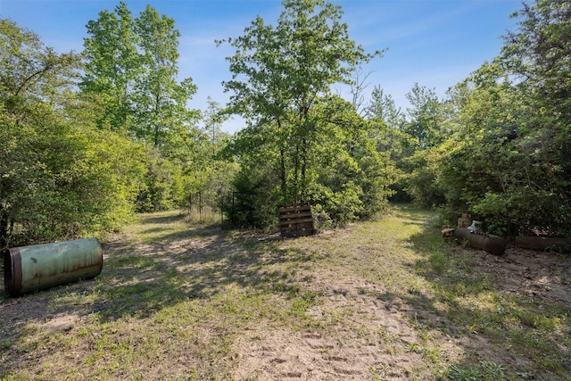 view of yard featuring a view of trees