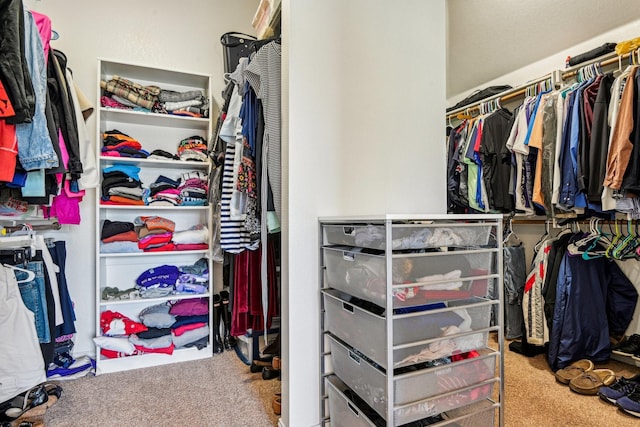 walk in closet with carpet