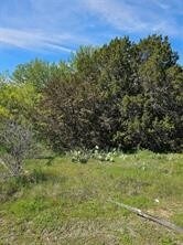 920 Prts O Call Dr, Granbury, TX 76048
