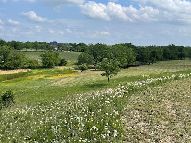 surrounding community featuring a yard and a rural view