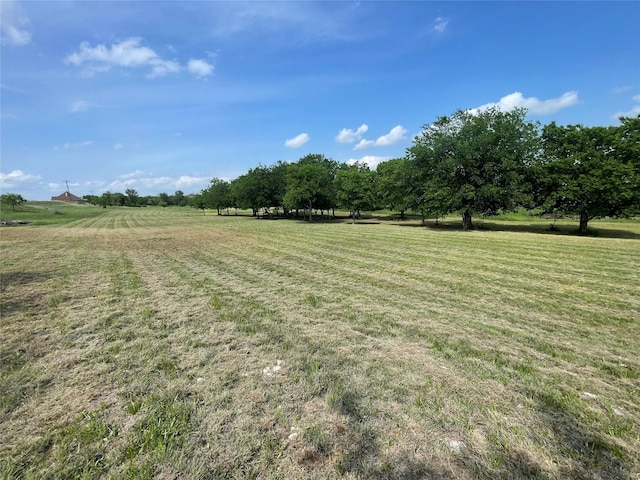 view of yard featuring a rural view