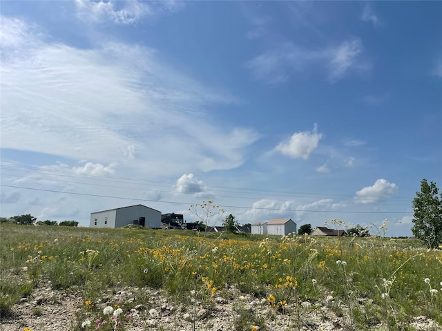 view of local wilderness
