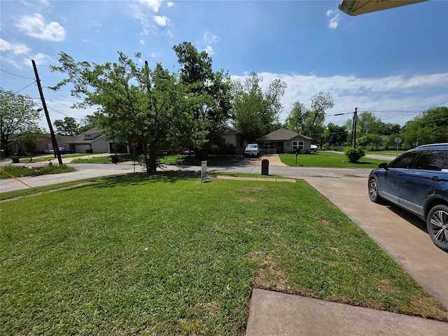 view of yard featuring driveway