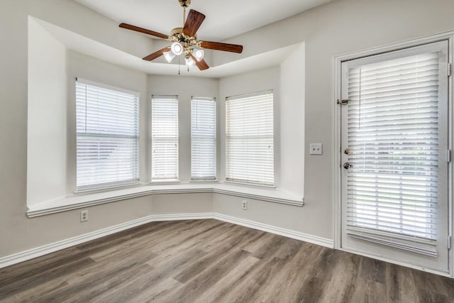 interior space featuring wood finished floors, a wealth of natural light, a ceiling fan, and baseboards