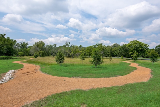 view of community