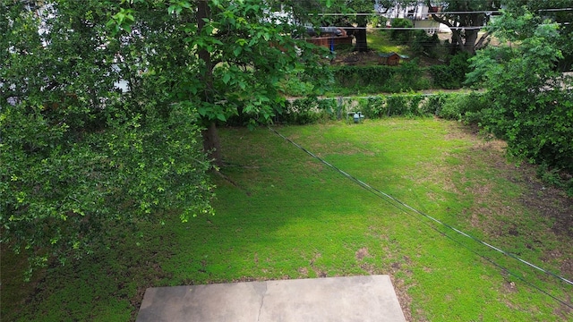 3143 Grayson Dr, Dallas, TX 75224 - view of green lawn