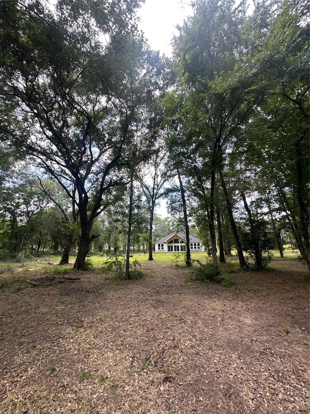 186 Vista Dr, Eustace, TX 75124 - view of yard